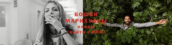 гидра Новодвинск