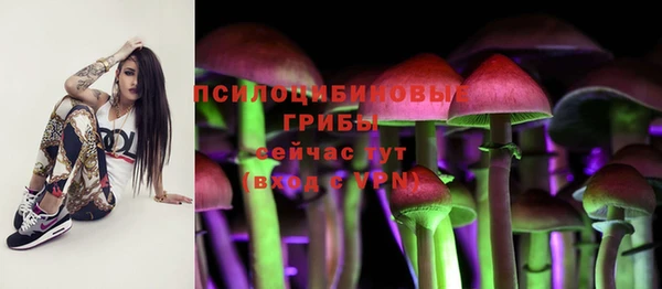 мдпв Няндома