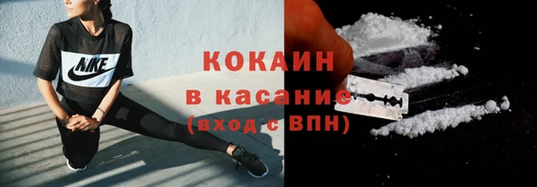 гидра Новодвинск