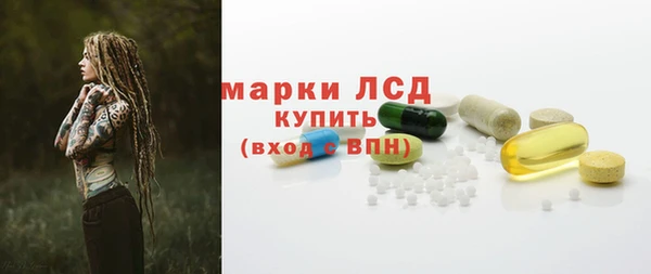 гидра Новодвинск