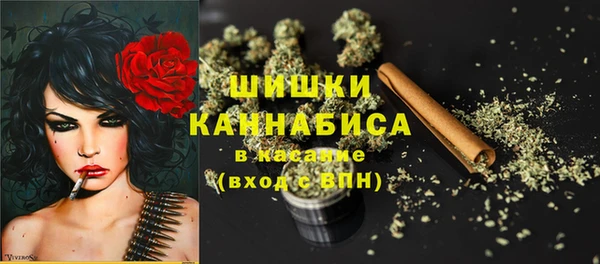 мдпв Няндома