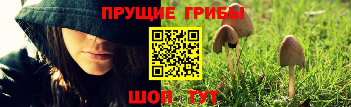 ГАШ Нарткала
